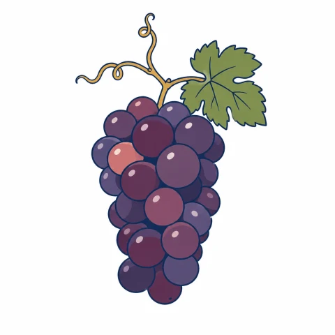 甲斐ノワールのイラスト