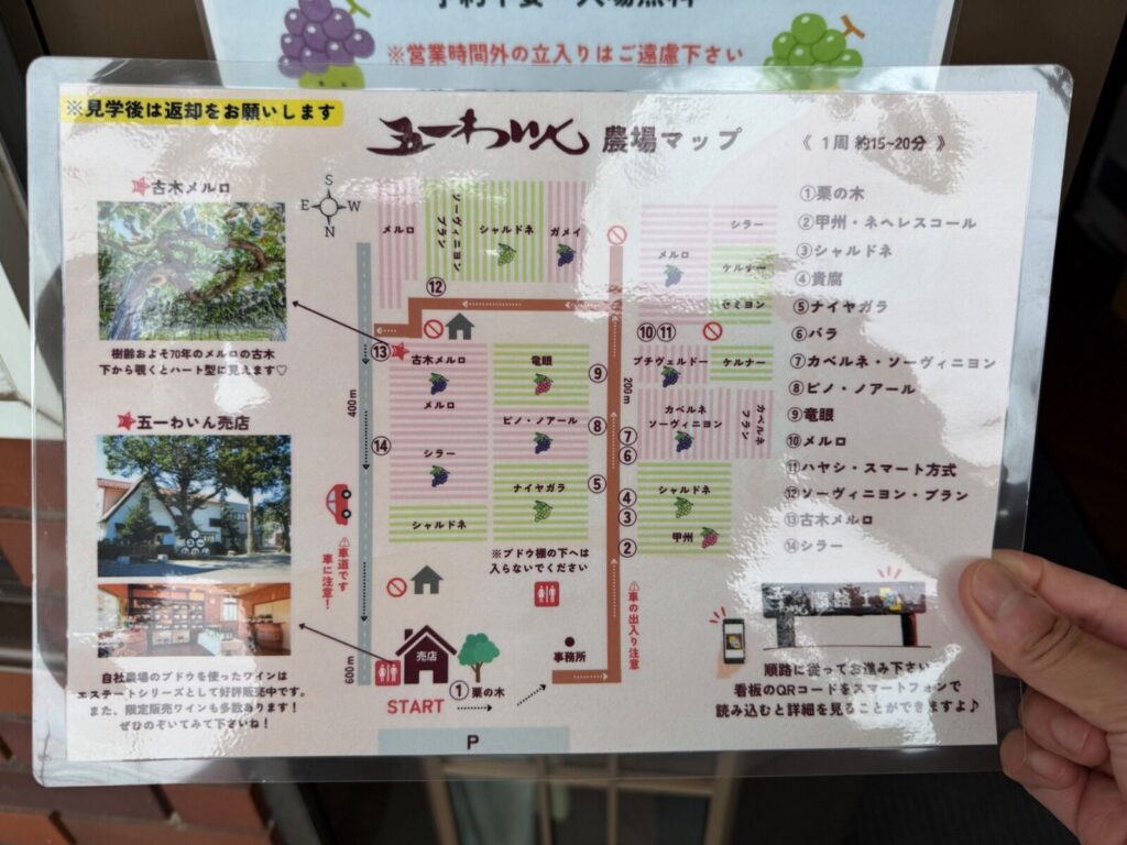五一わいん(株式会社林農園)の写真