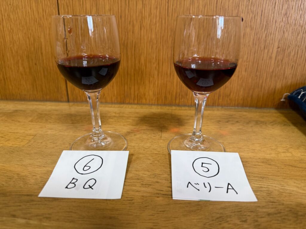 ワイナリーの有料試飲で並んだ2脚のグラス